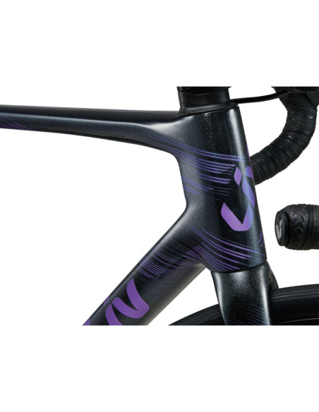 LANGMA ADVANCED DISC 1 PRO COMPACT