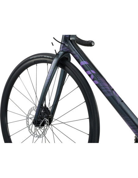 LANGMA ADVANCED DISC 1 PRO COMPACT