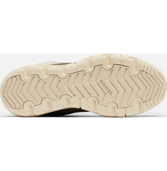 EXPLORER NEXT CARNIVAL WP