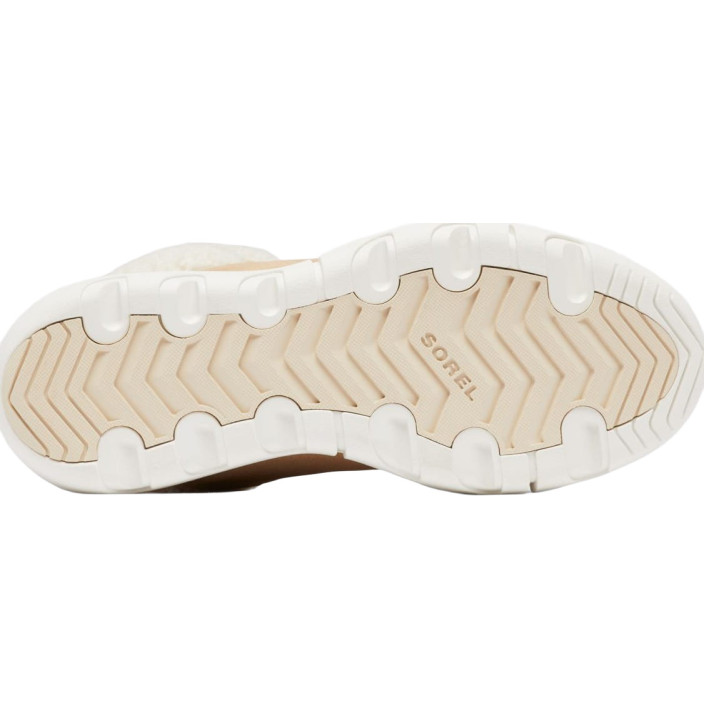 EXPLORER NEXT CARNIVAL WP