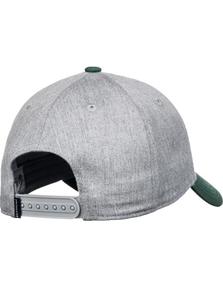 TREELOGO 2.0 CAP