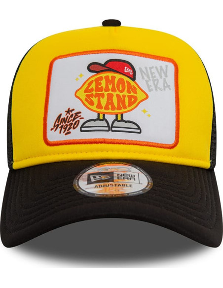 NE PATCH TRUCKER NEWERA