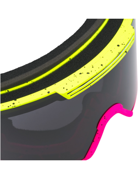 THE FORMULA BACKSLAP GOGGLE (SMALL)