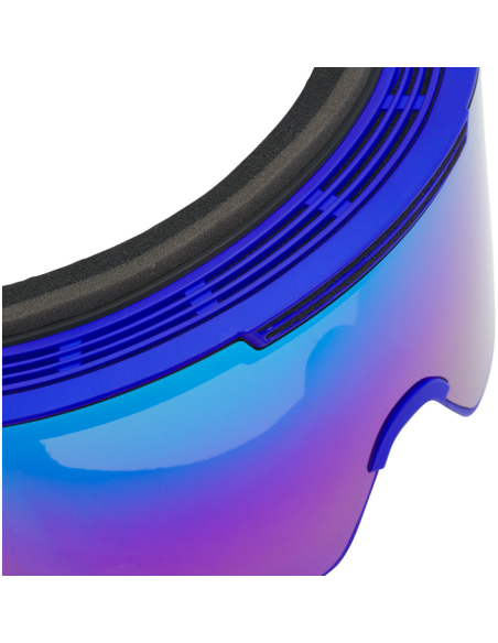 THE LONG TRACK PROFORM GOGGLE