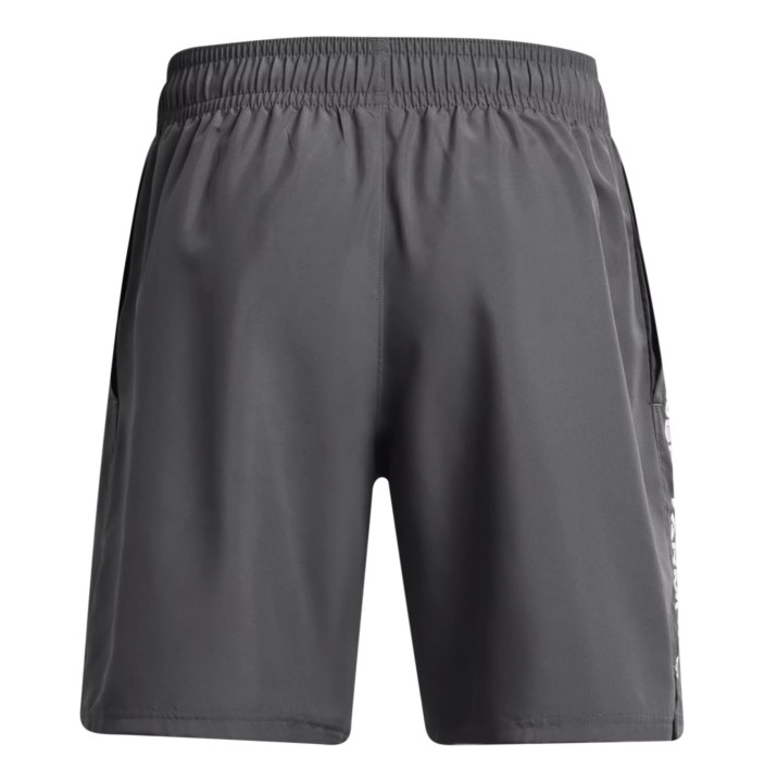 UA Woven Wdmk Shorts