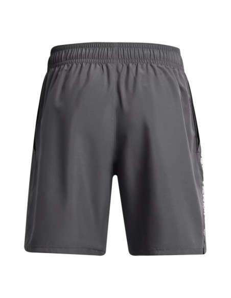 UA Woven Wdmk Shorts