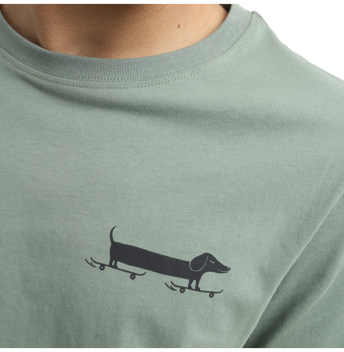 DACHSHUND SS