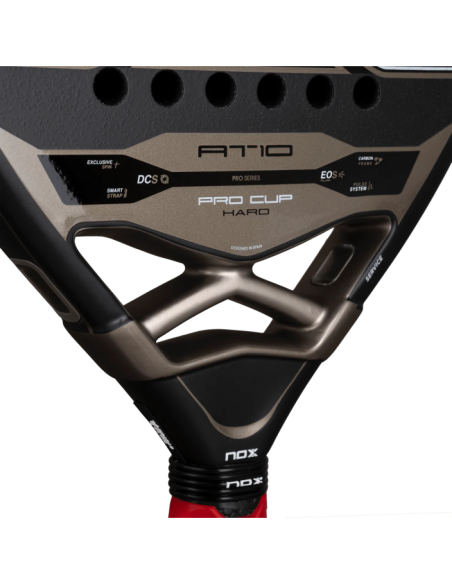 AT10 Pro Cup HARD by Agustín Tapia