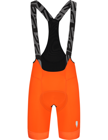 GREGARIUS PRO BIB SHORTS