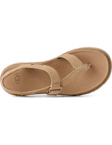 W GOLDENGAZE TOE POST