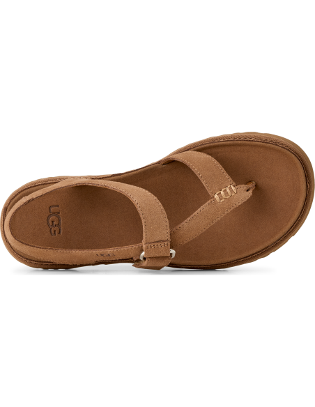 W GOLDENGAZE TOE POST