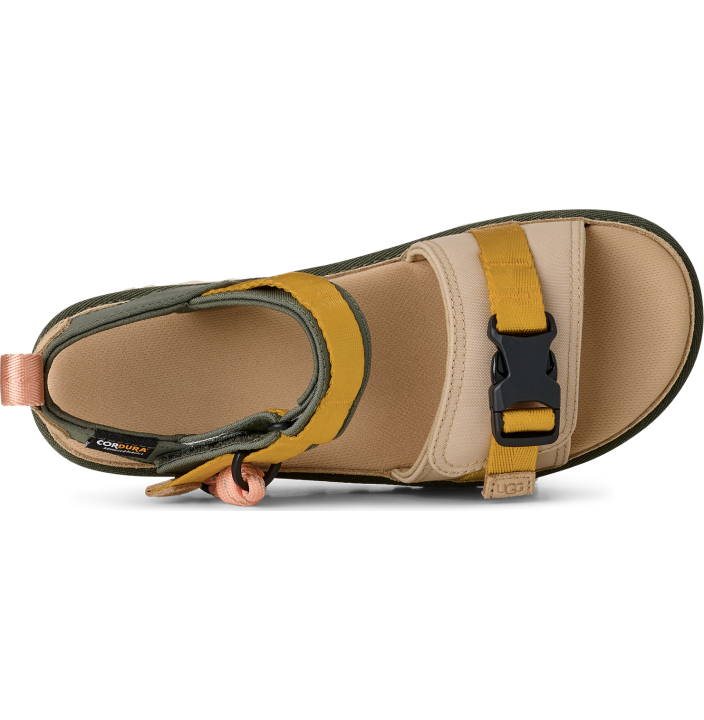 W GOLDENSTAR WILDWOOD