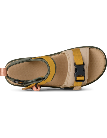 W GOLDENSTAR WILDWOOD