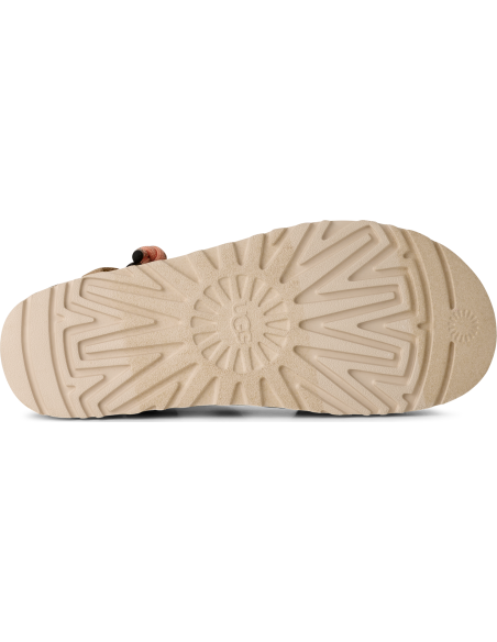 W GOLDENSTAR WILDWOOD