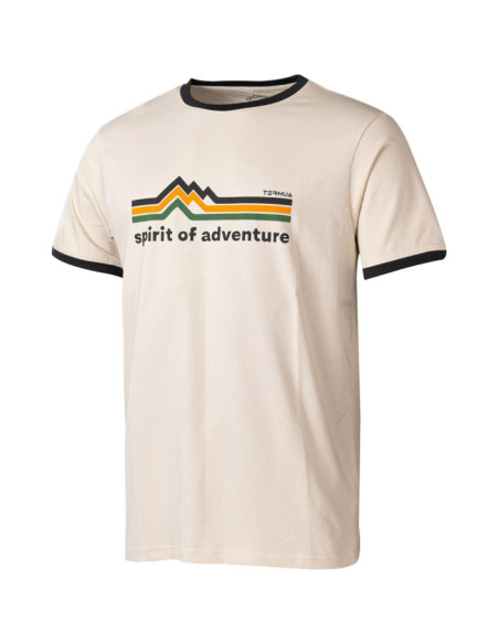 APUT REGENERATIVE T M