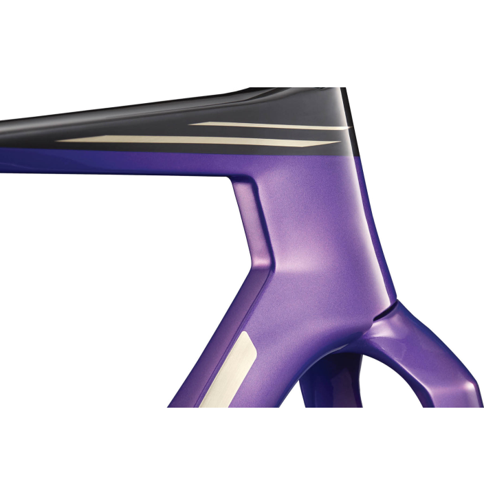 TEAMMACHINE R 01 FRAMESET