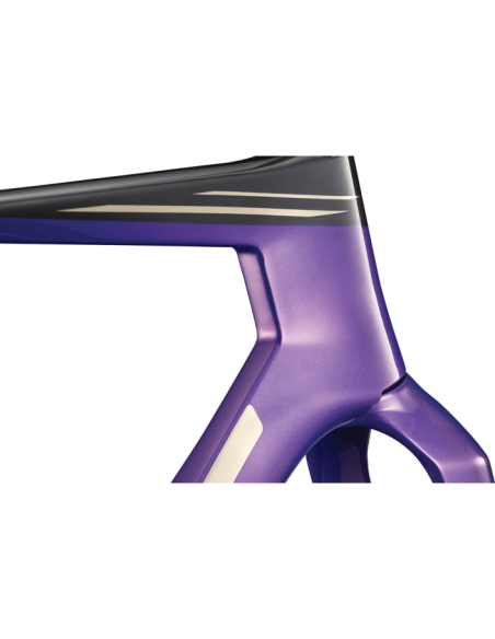 TEAMMACHINE R 01 FRAMESET