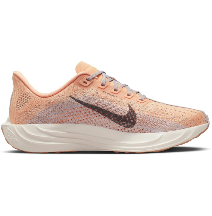 Nike Pegasus Plus Women's Road Runn