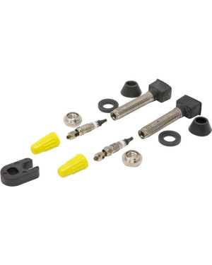 2 REMOVABLE TUBELESS PRESTA VALVES