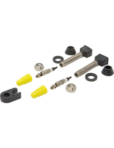 2 REMOVABLE TUBELESS PRESTA VALVES