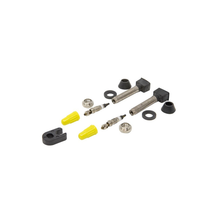 2 REMOVABLE TUBELESS PRESTA VALVES