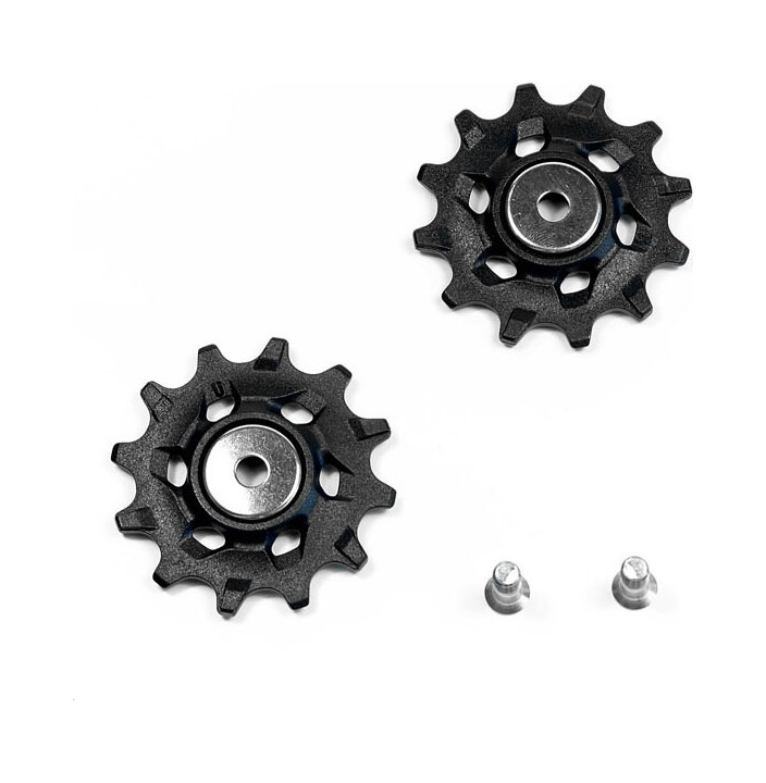 SRM REC ROLDANAS CAMBIO NX APEX1