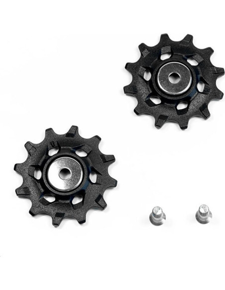 SRM REC ROLDANAS CAMBIO NX APEX1