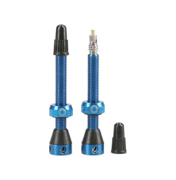 TUBELESS ALUM VALVE. 50MM BLUE SIDE HOLES (PAIR)