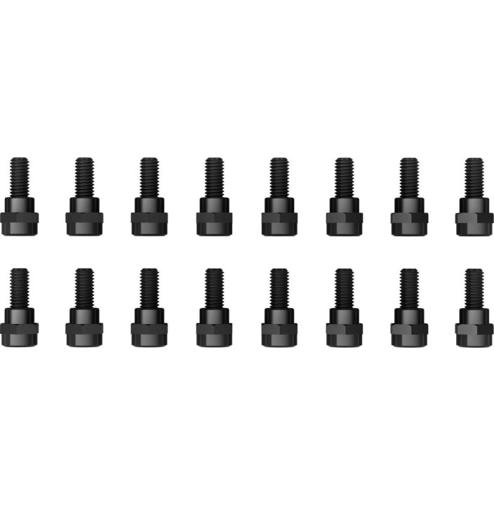 PINS FLAT SQUAMISH IV 16