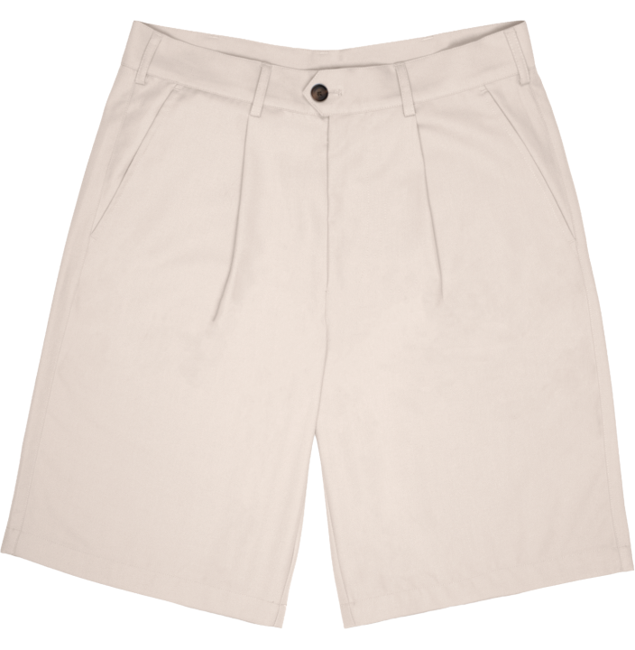 PLEATED SHORTS