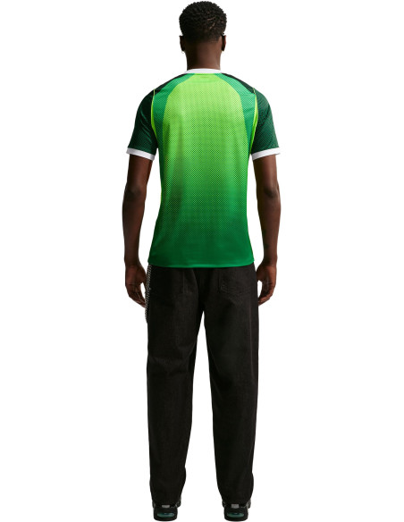 NIGERIA 2026 STADIUM HOME