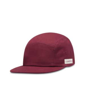 MOUNTAIN LOGO HAT