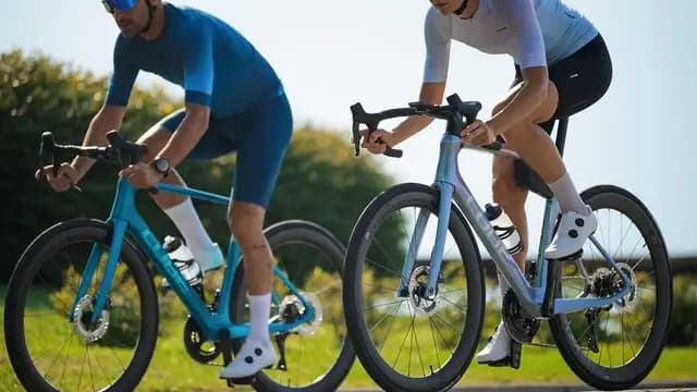 Alquiler de bicicletas